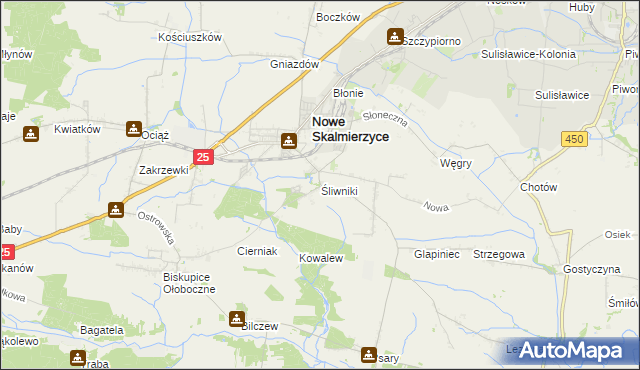 mapa Śliwniki gmina Nowe Skalmierzyce, Śliwniki gmina Nowe Skalmierzyce na mapie Targeo