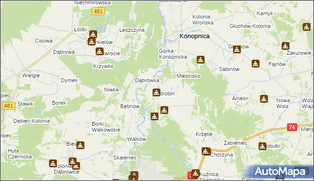 mapa Strobin, Strobin na mapie Targeo