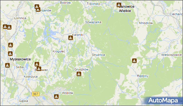 mapa Strużnica, Strużnica na mapie Targeo