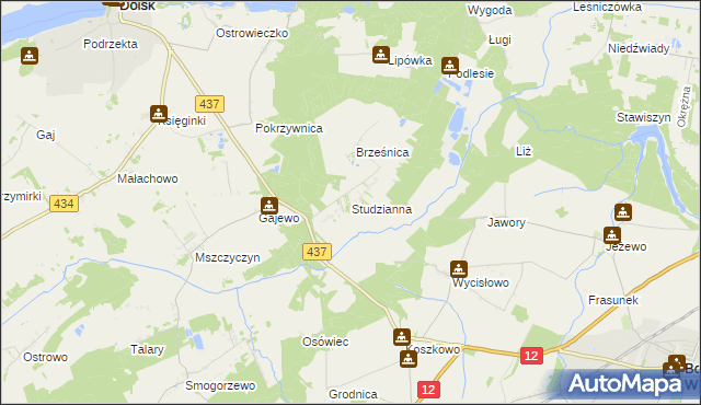 mapa Studzianna gmina Borek Wielkopolski, Studzianna gmina Borek Wielkopolski na mapie Targeo