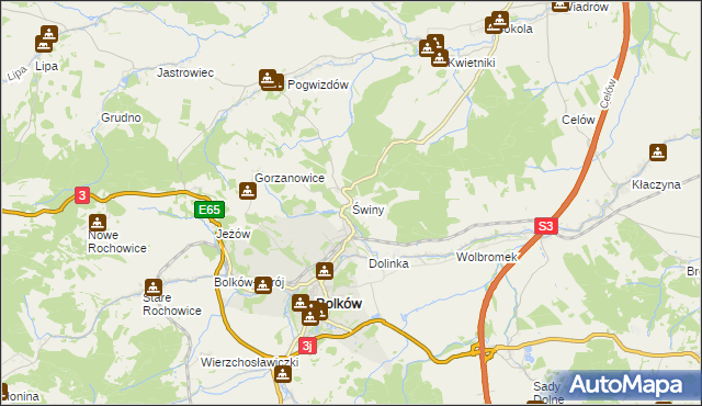 mapa Świny gmina Bolków, Świny gmina Bolków na mapie Targeo