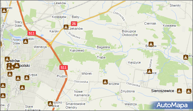 mapa Trąba, Trąba na mapie Targeo