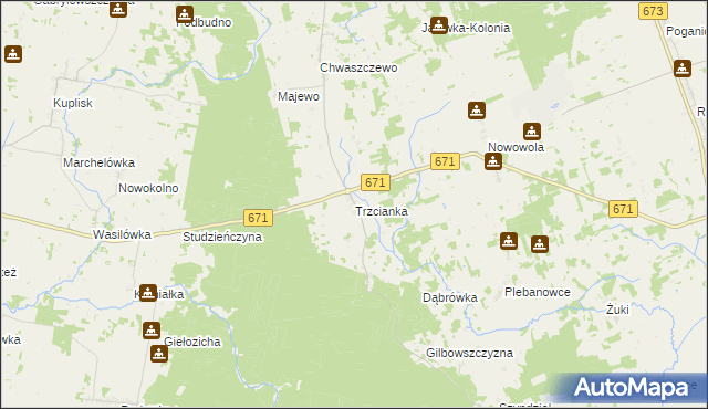 mapa Trzcianka gmina Janów, Trzcianka gmina Janów na mapie Targeo