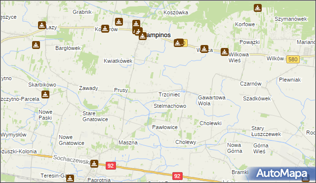 mapa Trzciniec gmina Leszno, Trzciniec gmina Leszno na mapie Targeo