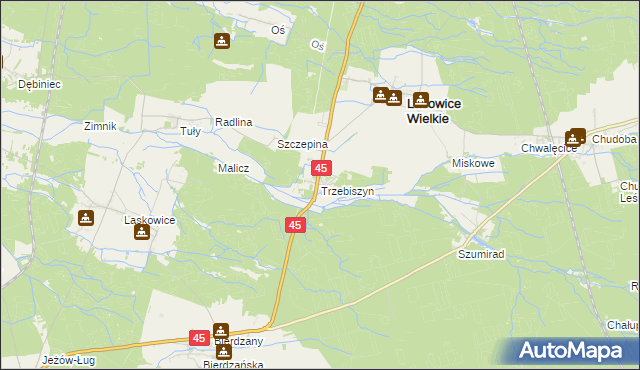 mapa Trzebiszyn gmina Lasowice Wielkie, Trzebiszyn gmina Lasowice Wielkie na mapie Targeo