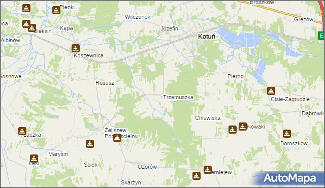 mapa Trzemuszka, Trzemuszka na mapie Targeo