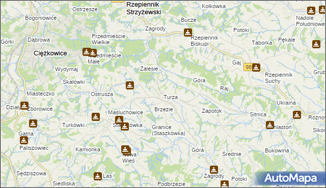 mapa Turza gmina Rzepiennik Strzyżewski, Turza gmina Rzepiennik Strzyżewski na mapie Targeo