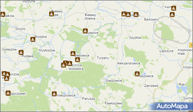 mapa Turzany gmina Wińsko, Turzany gmina Wińsko na mapie Targeo