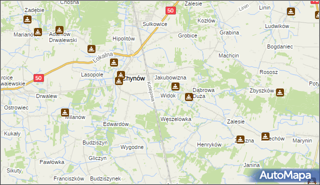 mapa Widok gmina Chynów, Widok gmina Chynów na mapie Targeo