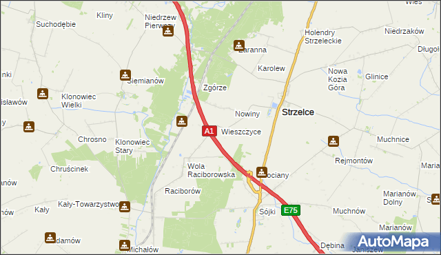 mapa Wieszczyce gmina Strzelce, Wieszczyce gmina Strzelce na mapie Targeo