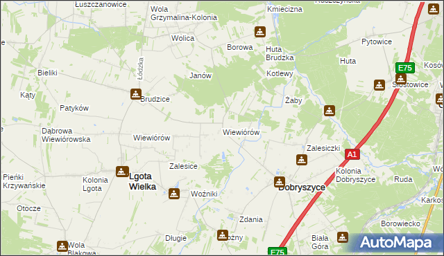 mapa Wiewiórów gmina Dobryszyce, Wiewiórów gmina Dobryszyce na mapie Targeo