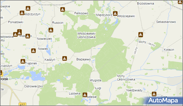 mapa Włościejewice, Włościejewice na mapie Targeo