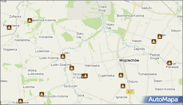 mapa Wojciechów-Kolonia Pierwsza, Wojciechów-Kolonia Pierwsza na mapie Targeo