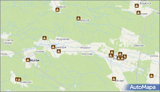 mapa Wojszyn gmina Murów, Wojszyn gmina Murów na mapie Targeo