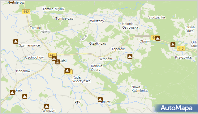 mapa Wronów gmina Gizałki, Wronów gmina Gizałki na mapie Targeo