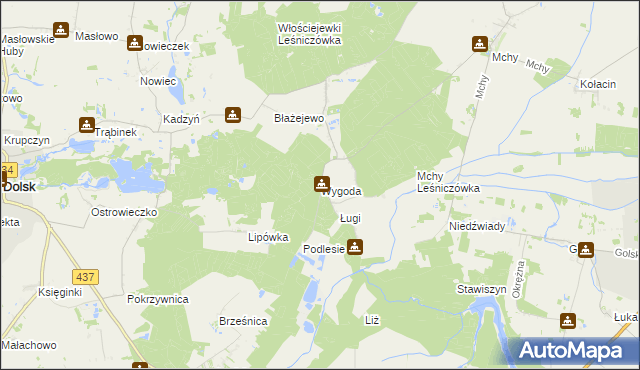 mapa Wygoda gmina Dolsk, Wygoda gmina Dolsk na mapie Targeo
