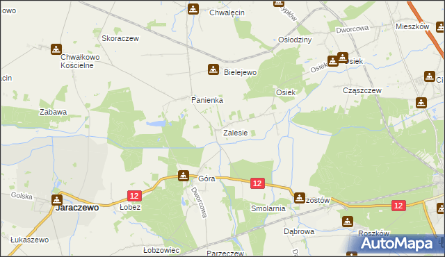 mapa Zalesie gmina Jaraczewo, Zalesie gmina Jaraczewo na mapie Targeo