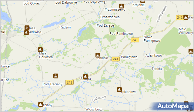 mapa Zalesie gmina Sępólno Krajeńskie, Zalesie gmina Sępólno Krajeńskie na mapie Targeo