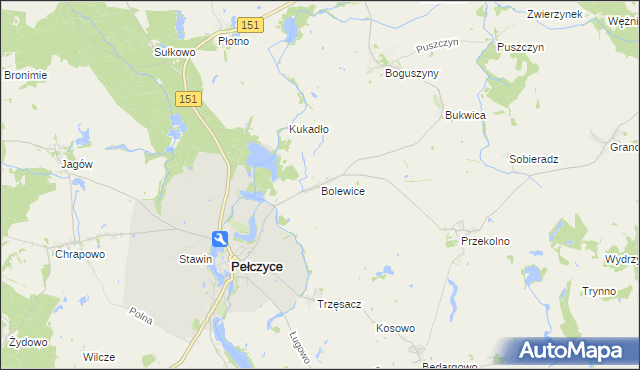 mapa Bolewice gmina Pełczyce, Bolewice gmina Pełczyce na mapie Targeo