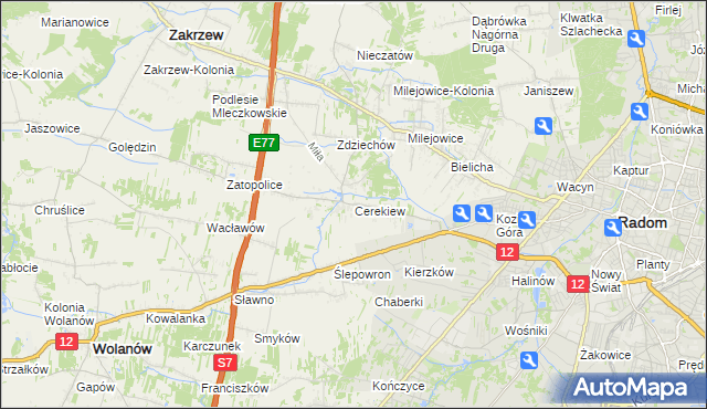 mapa Cerekiew gmina Zakrzew, Cerekiew gmina Zakrzew na mapie Targeo