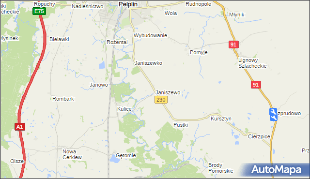 mapa Janiszewo gmina Pelplin, Janiszewo gmina Pelplin na mapie Targeo