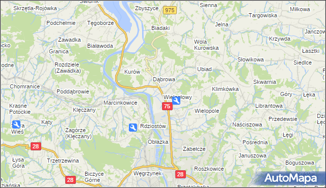 mapa Wielogłowy gmina Chełmiec, Wielogłowy gmina Chełmiec na mapie Targeo