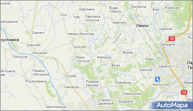mapa Wielopole gmina Olesno, Wielopole gmina Olesno na mapie Targeo