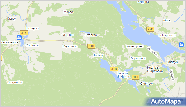mapa Jodłów gmina Nowa Sól, Jodłów gmina Nowa Sól na mapie Targeo