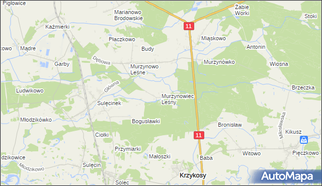 mapa Murzynowiec Leśny, Murzynowiec Leśny na mapie Targeo