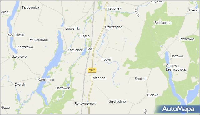 mapa Procyń, Procyń na mapie Targeo