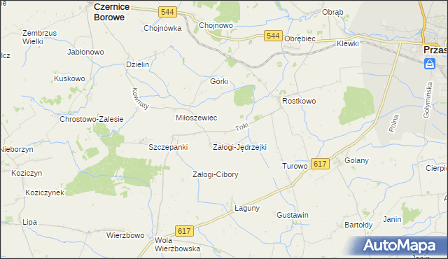 mapa Toki gmina Czernice Borowe, Toki gmina Czernice Borowe na mapie Targeo