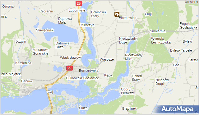 mapa Wąsosze gmina Ślesin, Wąsosze gmina Ślesin na mapie Targeo
