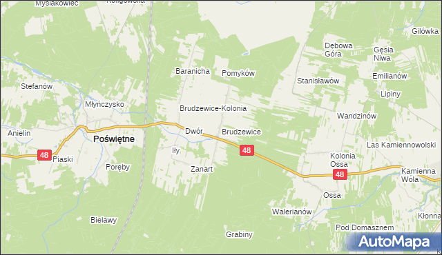 mapa Brudzewice gmina Poświętne, Brudzewice gmina Poświętne na mapie Targeo