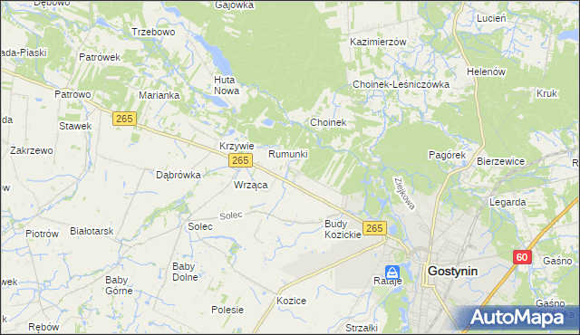 mapa Nagodów gmina Gostynin, Nagodów gmina Gostynin na mapie Targeo