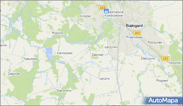 mapa Żabiniec gmina Białogard, Żabiniec gmina Białogard na mapie Targeo