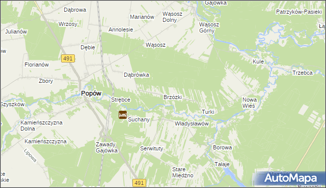 mapa Brzózki gmina Popów, Brzózki gmina Popów na mapie Targeo