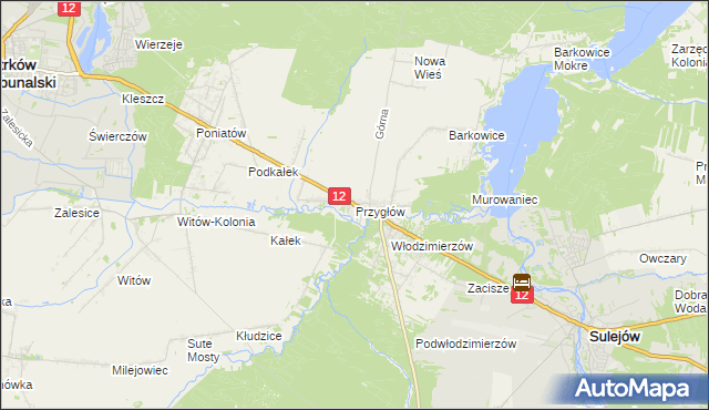 mapa Przygłów, Przygłów na mapie Targeo
