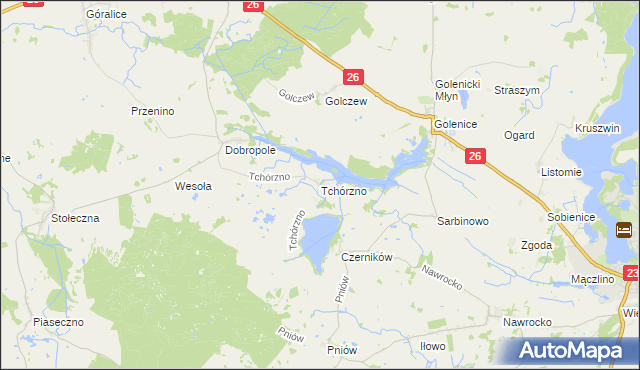 mapa Tchórzno, Tchórzno na mapie Targeo