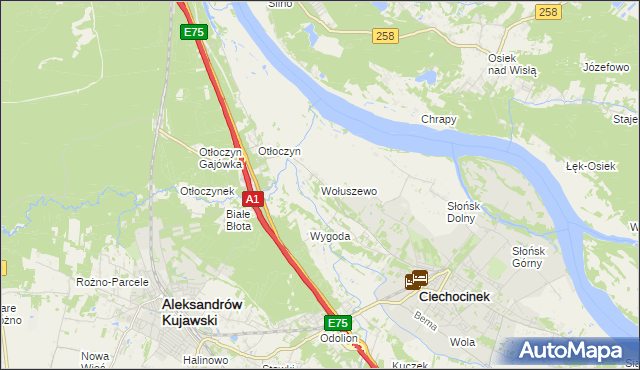 mapa Wołuszewo, Wołuszewo na mapie Targeo