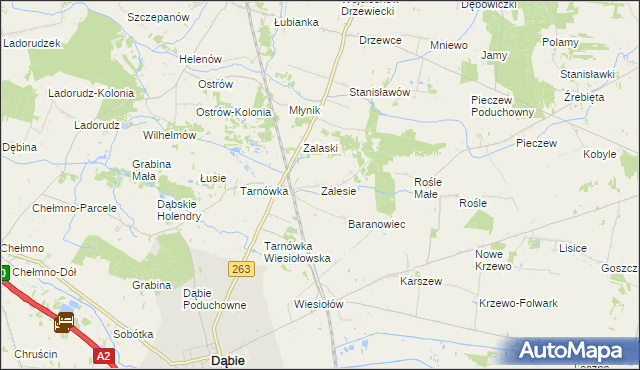 mapa Zalesie gmina Dąbie, Zalesie gmina Dąbie na mapie Targeo