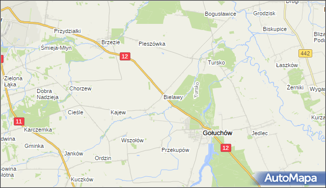 mapa Bielawy gmina Gołuchów, Bielawy gmina Gołuchów na mapie Targeo