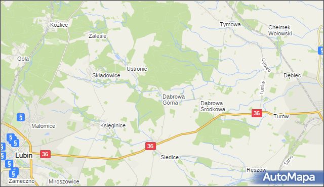 mapa Dąbrowa Górna gmina Lubin, Dąbrowa Górna gmina Lubin na mapie Targeo