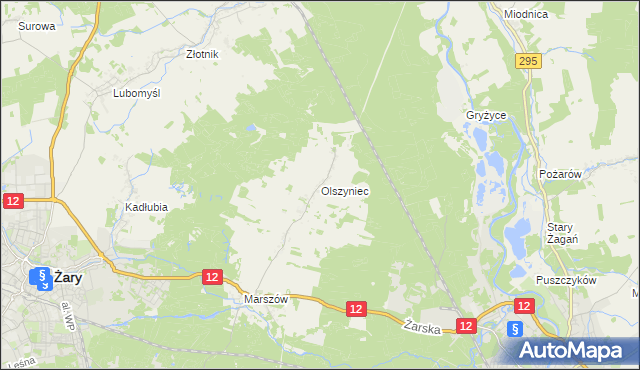 mapa Olszyniec gmina Żary, Olszyniec gmina Żary na mapie Targeo