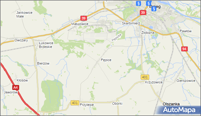 mapa Pępice gmina Skarbimierz, Pępice gmina Skarbimierz na mapie Targeo