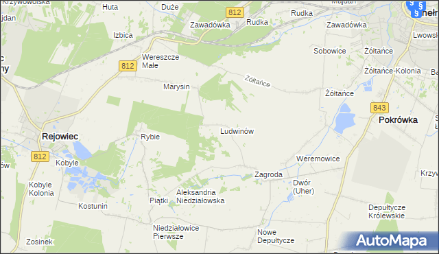 mapa Ludwinów gmina Chełm, Ludwinów gmina Chełm na mapie Targeo