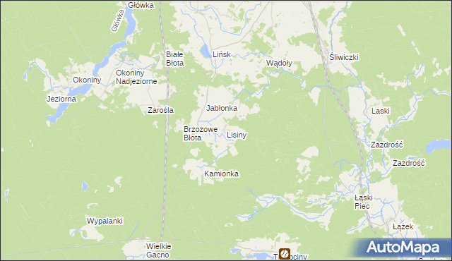 mapa Lisiny gmina Śliwice, Lisiny gmina Śliwice na mapie Targeo