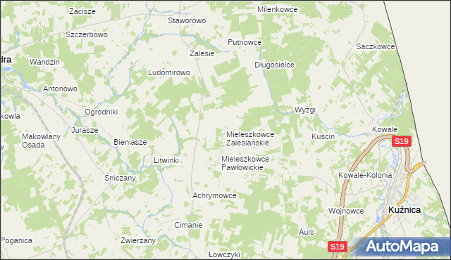 mapa Mieleszkowce Zalesiańskie, Mieleszkowce Zalesiańskie na mapie Targeo