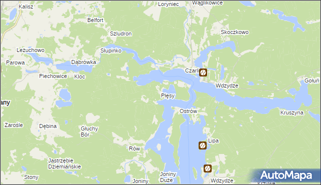 mapa Płęsy, Płęsy na mapie Targeo