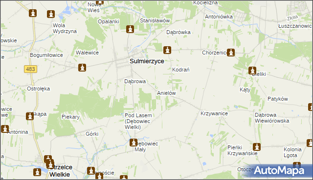 mapa Anielów gmina Sulmierzyce, Anielów gmina Sulmierzyce na mapie Targeo
