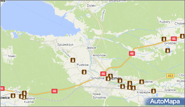mapa Antoniów gmina Ozimek, Antoniów gmina Ozimek na mapie Targeo